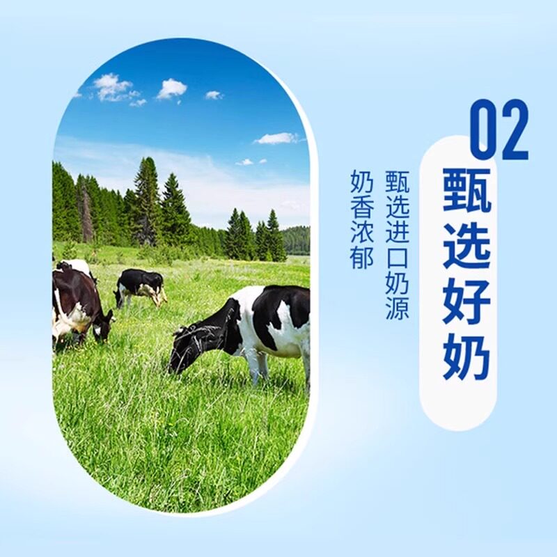 阿萨姆原味奶茶500ml瓶装组合网红冷饮奶茶饮品夏日消暑佳选奶茶 - 图1