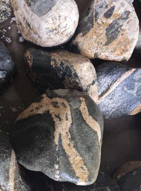 保真天然ZKJ原镇石摆件鱼内缸花宅盆装饰室补角摆件无底座