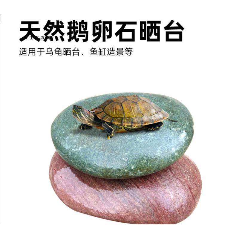 天然乌龟晒台高水位爬台鱼缸造景装饰石头五彩石子爬坡垫脚石头,淘宝优惠券,粉丝福利购,淘宝优惠卷
