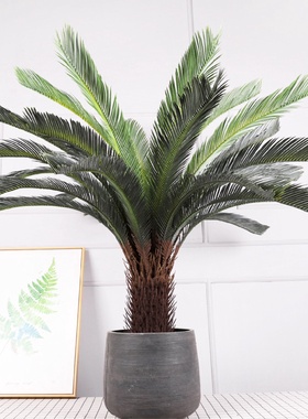 苏铁盆栽室内装饰人造绿植假苏铁树酒店商场植物摆件假铁树绿植