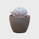 Coarse pottery flower pot succulent plant ceramic purple sand breathable creative desktop simple large and small old pile green plant flower pot