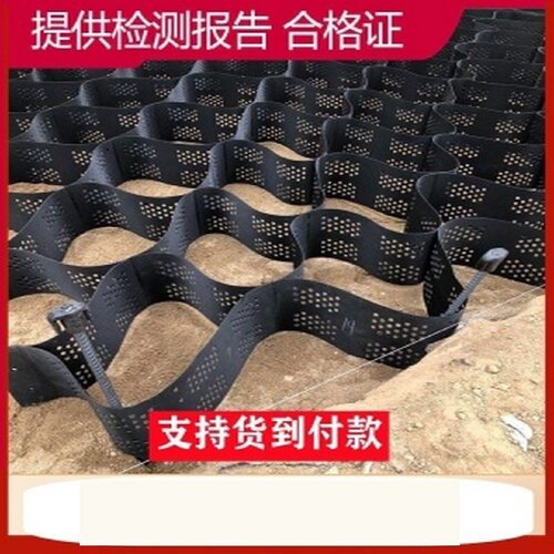 土工格室厂家护坡TGLG高分子蜂巢土工格室路基高强pp土工格室 - 图2