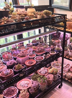 多肉花架置物架子铁艺阳台多层室内飘窗台落地带轮可移动植物挂灯