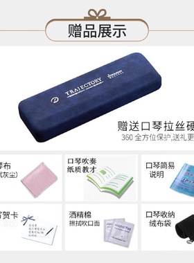 znM德国高端进口音簧28孔重音复音C调口琴高级成人专业演奏级初学