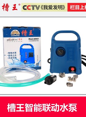 槽王水泵小型迷你抽水机微型12V抽水泵开槽机水钻专用潜水自吸泵