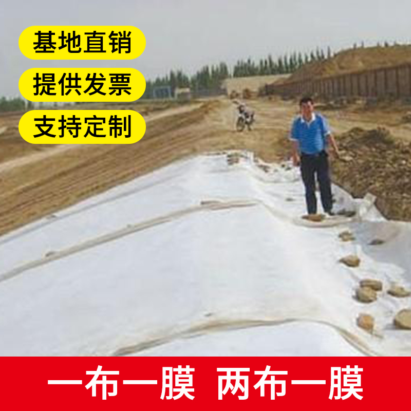 土工膜一布两布一膜鱼塘河道防水养殖膜加厚防渗布复合土工布 - 图0