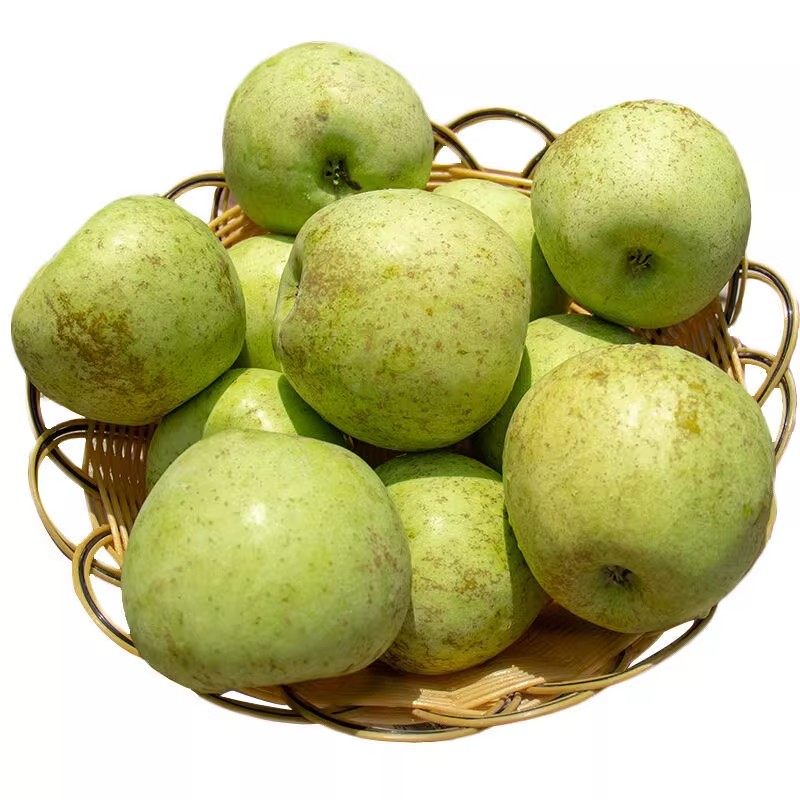现摘当季野生大沙河青苹果非金帅孕妇酸甜脆新鲜丑水果萍整箱10斤,淘宝优惠券,粉丝福利购,淘宝优惠卷
