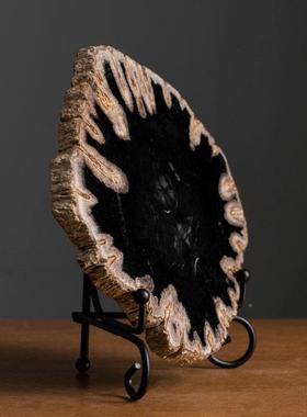 天然木SG001化石原石切片桌面摆件博饰古架师子树化石装设计格样