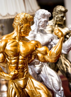 李小龙功夫摆件拳王健美健身功夫比赛奖杯跆拳道拳击送礼武馆摆设