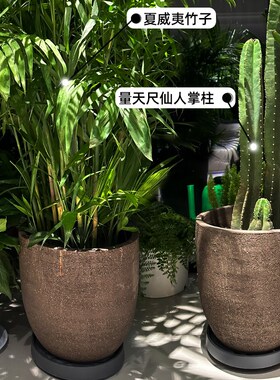 新简约粗陶花盆大口径大码紫砂陶B盆大号种树盆透气透水无釉陶罐