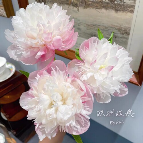芍药花苗重瓣带芽根块多年生室内外阳台庭院耐寒种根盆栽花卉植物 - 图0