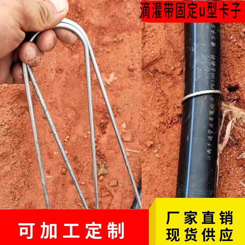 滴灌管铁丝卡子固定器地钉加粗镀锌草坪大棚实用园艺工具订制热卖,淘宝优惠券,粉丝福利购,淘宝优惠卷