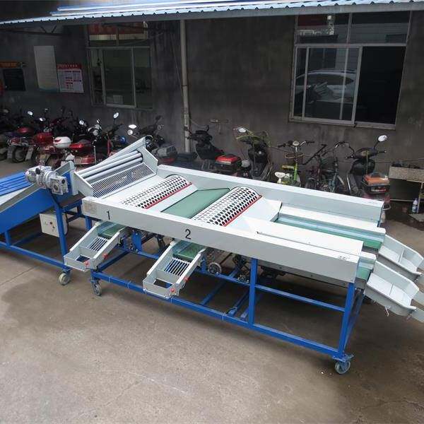 Garlic and onion grading machine, fruit and vegetable sorting machine, single garlic fruit sorting equipment, small fruit sorting machine