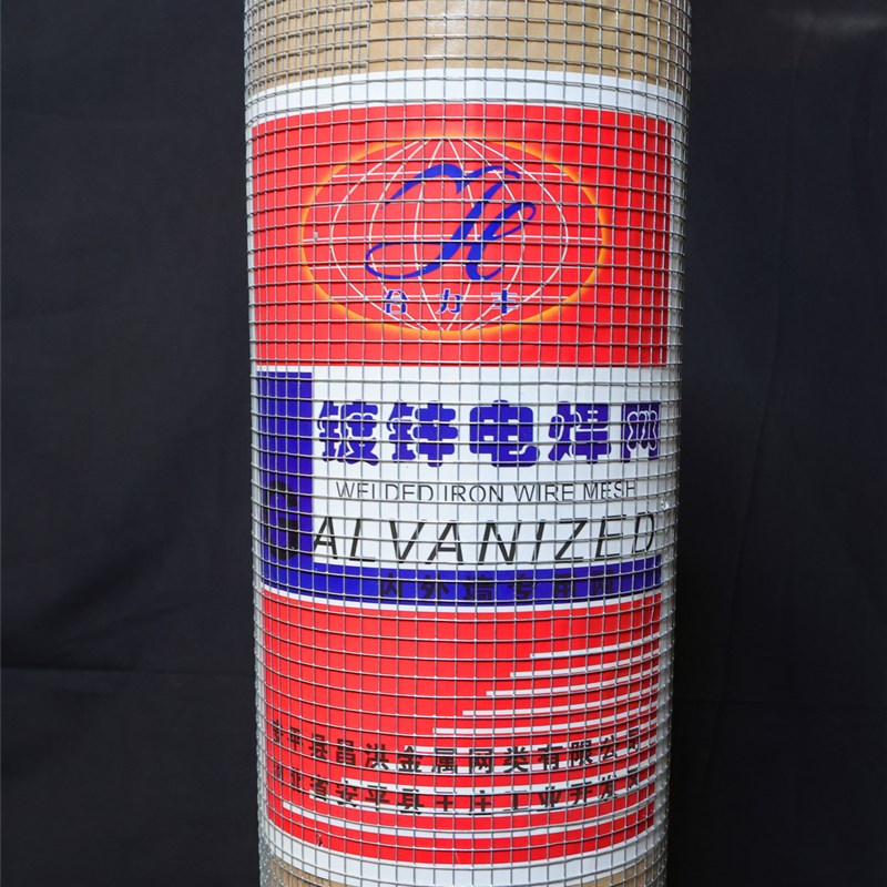 优质家用热镀锌电焊网铁丝网钢丝网防鼠网养殖网阳台防护果园围栏 - 图0