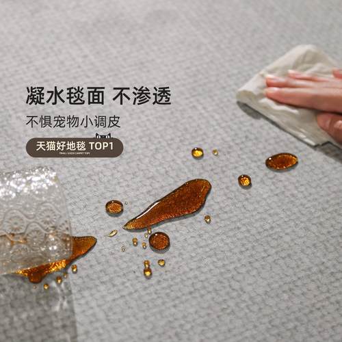 地毯客免洗可擦202XD202195新款轻奢高色级感灰免室打理沙发防水 - 图1