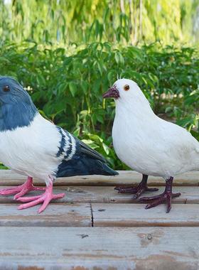彷真鸽子和平鸽摆件假鸽子模型婚庆装饰用品动物模型鸟类标本道具
