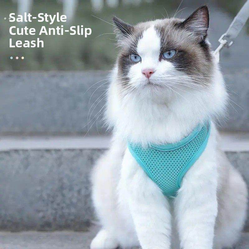 兔子牵引绳防挣脱遛小兔子专用神器背心式可伸缩外出的衣服溜绳子,淘宝优惠券,粉丝福利购,淘宝优惠卷