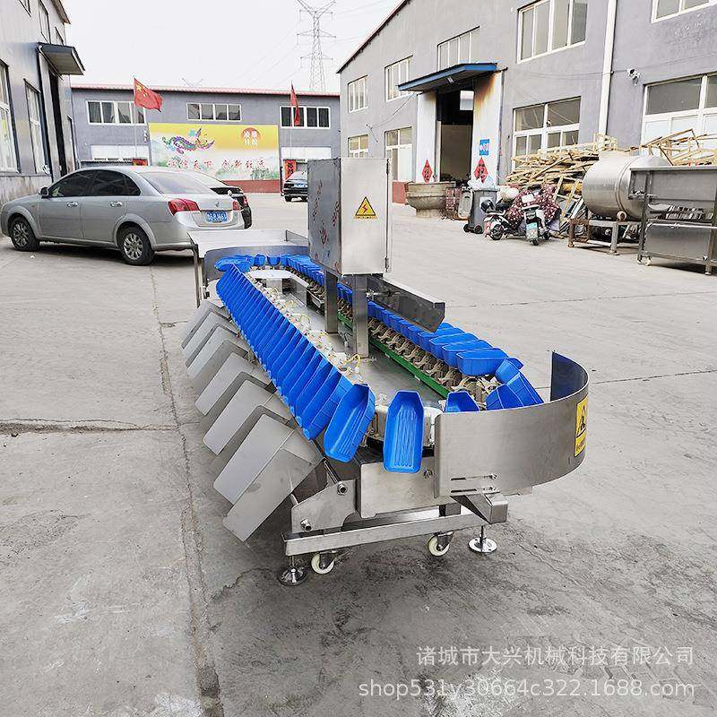 鸡爪龙虾称重分级机 料盒式生蚝称重分选设备 杨梅葡萄果蔬筛选机,淘宝优惠券,粉丝福利购,淘宝优惠卷