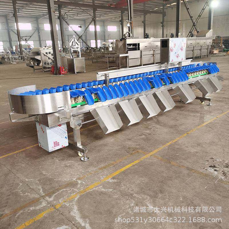 鸡爪龙虾称重分级机 料盒式生蚝称重分选设备 杨梅葡萄果蔬筛选机,淘宝优惠券,粉丝福利购,淘宝优惠卷