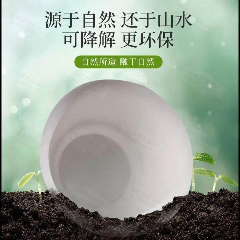 林1筒装60只一次性功夫汇茶防纸烫简约环杯保质茶具户60145外商/,淘宝优惠券,粉丝福利购,淘宝优惠卷