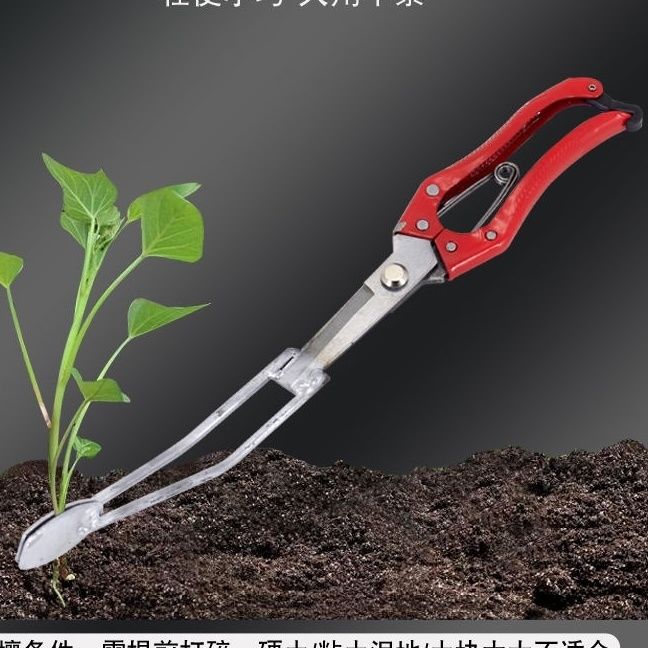 红薯秧苗栽苗器新款地瓜插苗器蔬菜种植工具种葱苗叉子栽红薯神器 - 图1