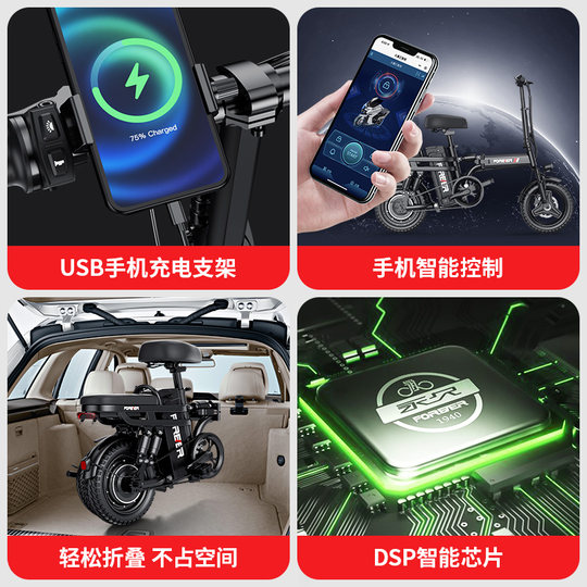 Folding electric bike