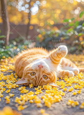 可爱猫咪动物装饰墙贴画防水自粘