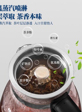 煮茶器全自动黑茶煮茶壶普洱老白茶蒸汽蒸茶器办公室