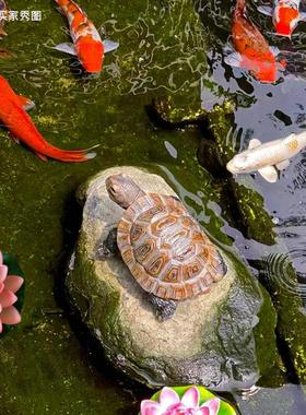 鱼缸装饰造景乌龟摆件户外花园庭院池塘造景树脂雕塑摆设仿真动物
