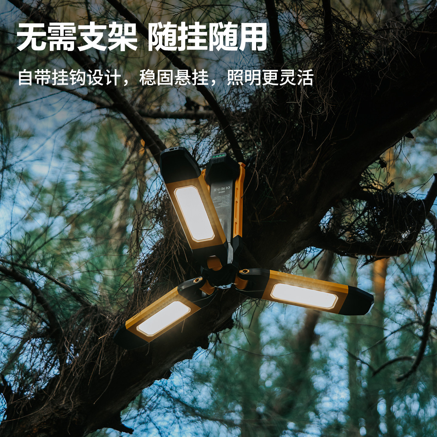 图 3