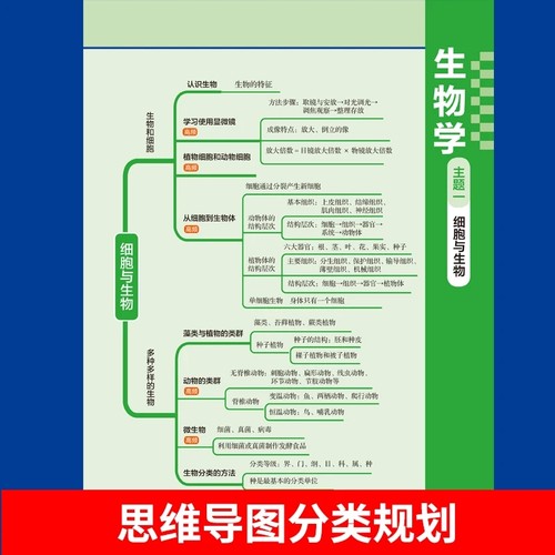 【认准正版 现货速发】AI图解小四门25新版中学历史地理生物道法知识点总结必刷题小四门必背知识点初中通用提分笔记高频考点 - 图1