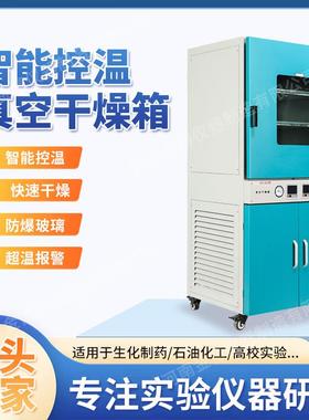 智能控温电热鼓风干燥箱恒温烘箱烤箱实验工业商用烤箱老化箱