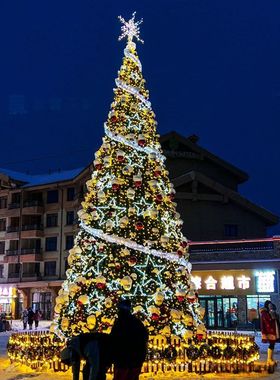 大型框架圣诞树户外3/4/5