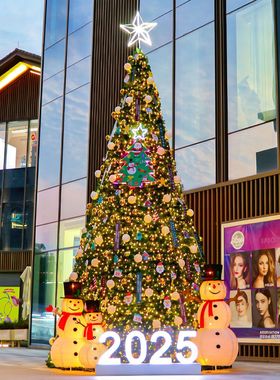 新款大型圣诞树5/6/8/10