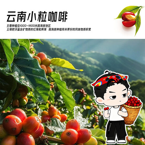 WHATEVER吴彦祖云南黑咖啡速溶冻干咖啡粉浓缩美式拿铁黑咖啡 - 图1