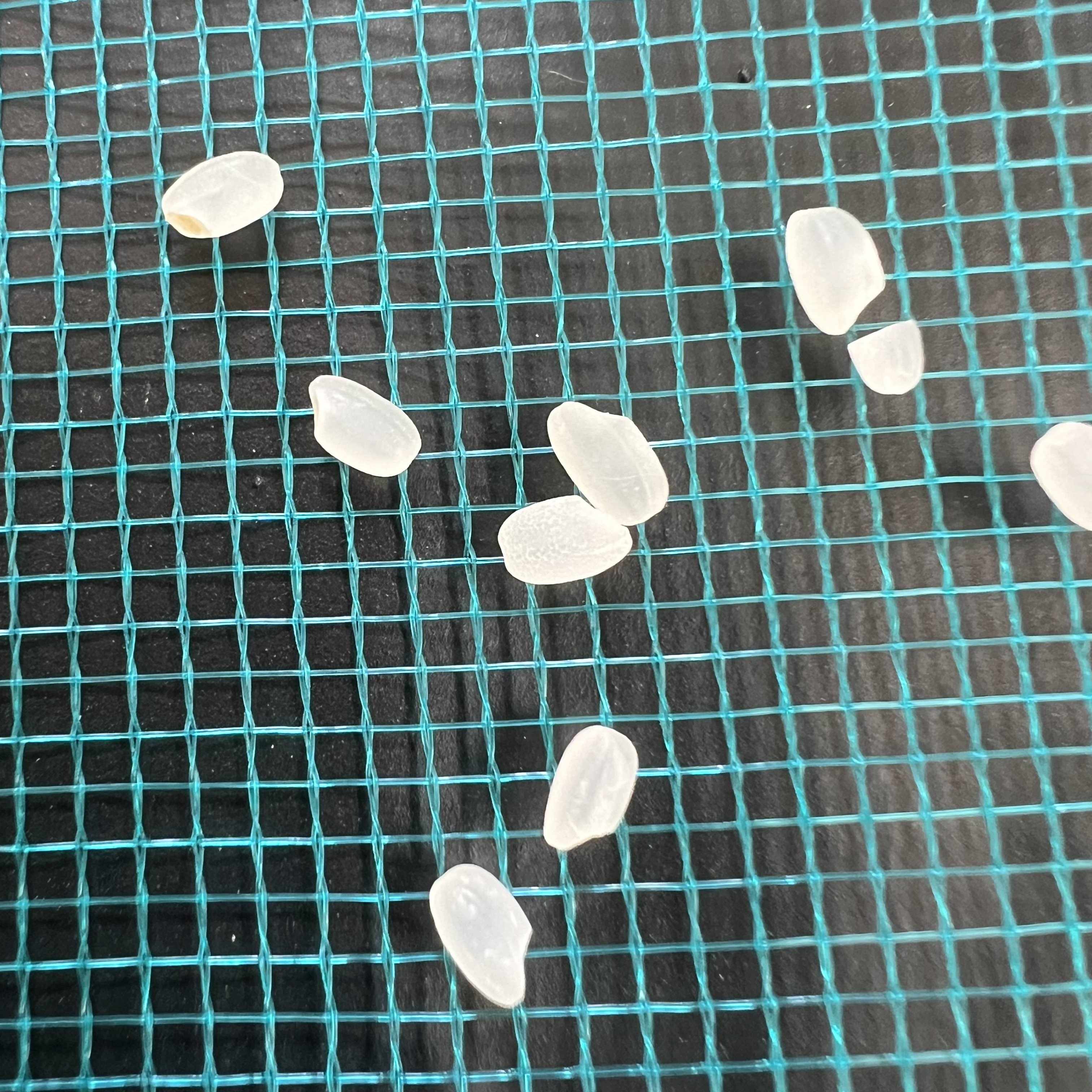 小龙虾网袋装鱼网兜水产塑料尼龙包装袋鸡鸭鹅家禽活禽透气纱网袋,淘宝优惠券,粉丝福利购,淘宝优惠卷