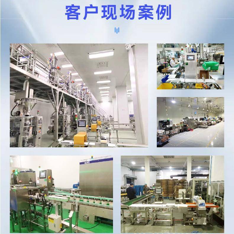 高精度在线重检秤单包整箱动态秤复检秤工厂多级重量分选机检重机 - 图2