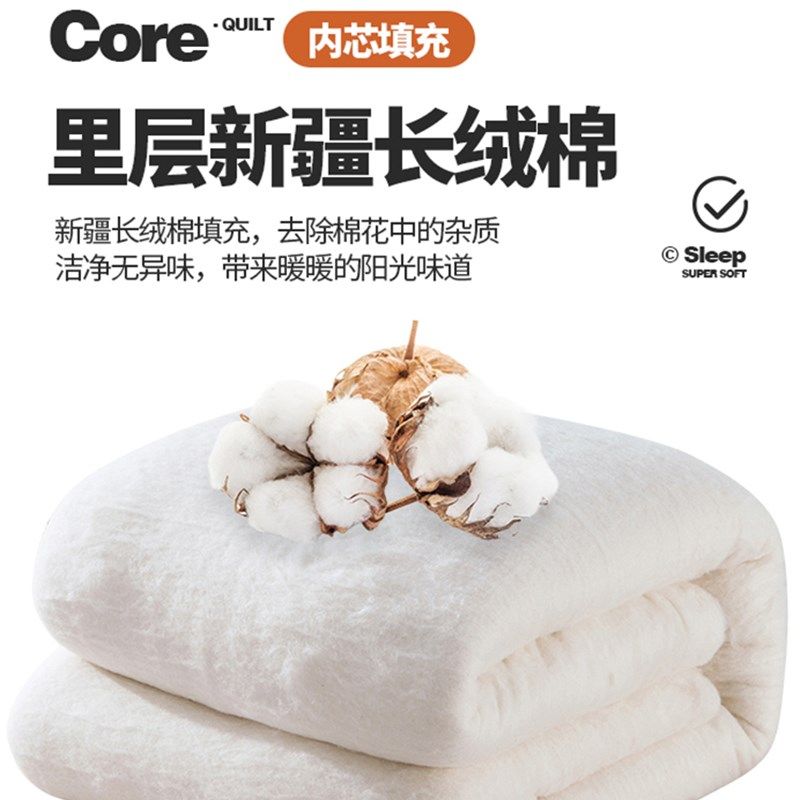 A类天竺棉新疆纯棉花被子冬被加厚保暖棉被芯宿舍单人棉絮春秋被,淘宝优惠券,粉丝福利购,淘宝优惠卷