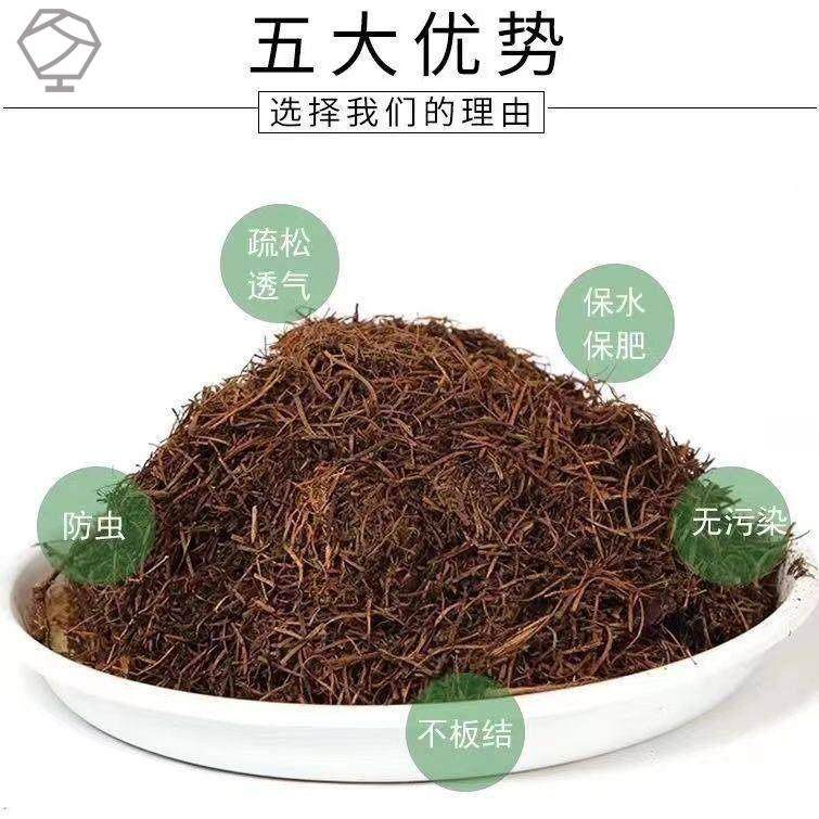 兰花腐熟松针土橡树叶腐熟松针多肉君子兰专用天然营养腐殖土花土,淘宝优惠券,粉丝福利购,淘宝优惠卷