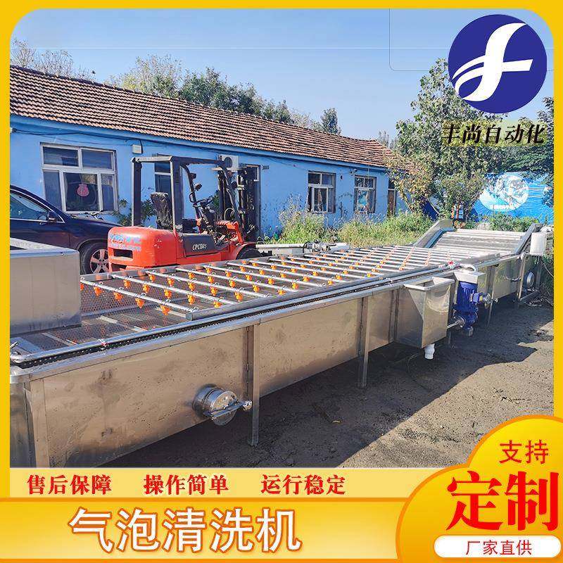 大型喷浪式瓜果蔬菜清洗设备油麦菜鼓泡洗菜机辣菜丝气泡清洗机,淘宝优惠券,粉丝福利购,淘宝优惠卷