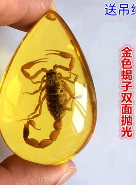 琥珀昆虫标本小学课本科普虫珀树脂摆件蝴蝶螃蟹创意吊坠儿童礼物