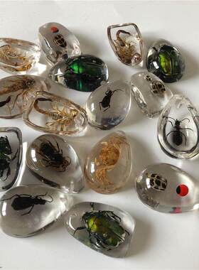 儿童透明树脂昆虫标本吊坠现货