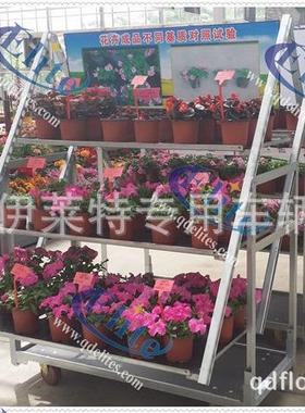 直销1350*565花园中心展示花车，多层车，工具展示花车