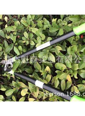 丸崎WQ232粗枝剪篱笆剪绿篱剪园林园艺修枝剪