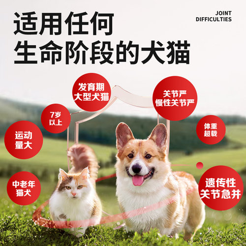 安替诺Antinol277软骨素髌骨脱位猫狗通用润滑关节腰椎骨刺安它诺 - 图1