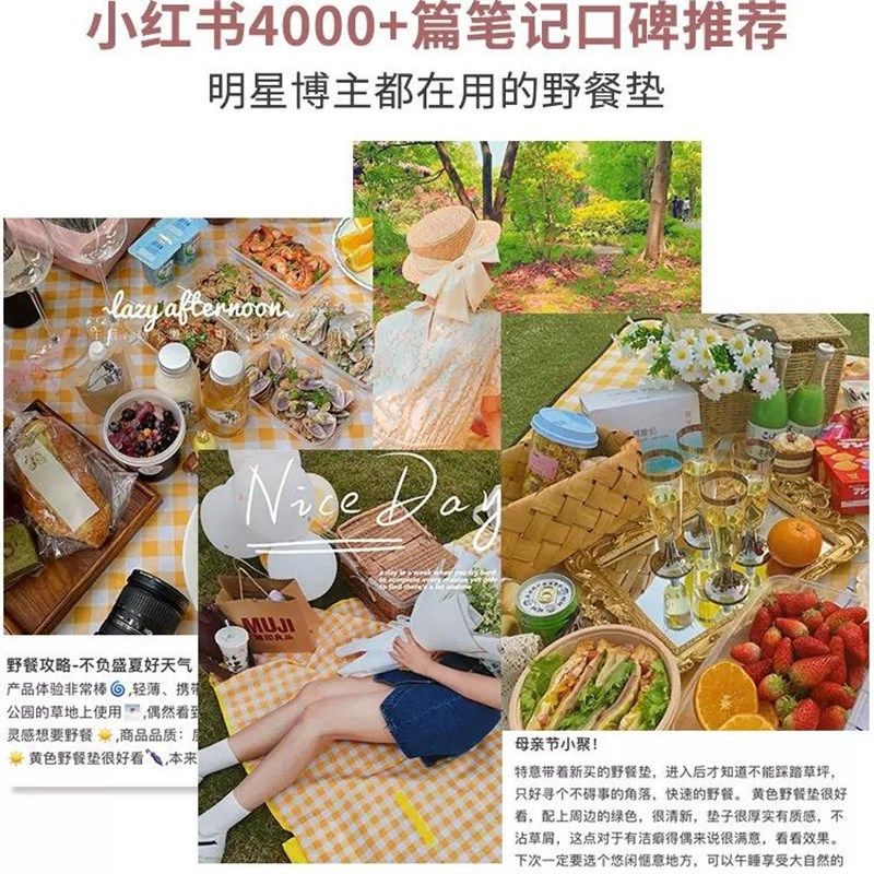 野餐垫牛津布防潮地垫折叠便携春游帐篷垫户外用品加厚防水沙滩垫,淘宝优惠券,粉丝福利购,淘宝优惠卷