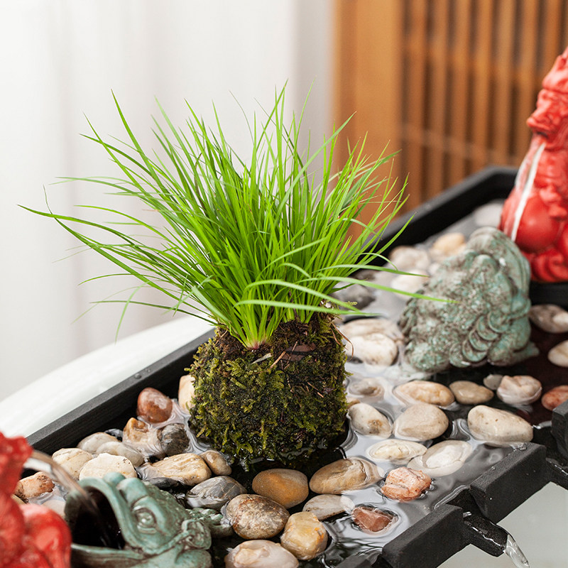 新中式石槽小鱼缸鱼池造景喷水景循D环流水器摆件装饰造龙出水配,淘宝优惠券,粉丝福利购,淘宝优惠卷