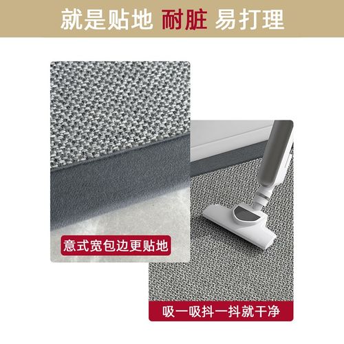 入户门地垫进门家用现代简约风地毯门垫耐脏耐磨防滑玄关门口地毯 - 图1
