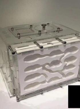 石膏蚁巢巢生亚克力城堡试管宠物生日特硬蚁巢宠物混凝土散装长宽