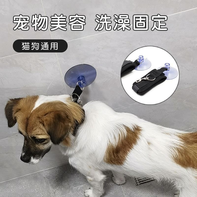 狗狗猫咪洗澡固定器防逃跑应激宠物美容台吊绳剪毛吹干吸盘牵引绳 - 图1